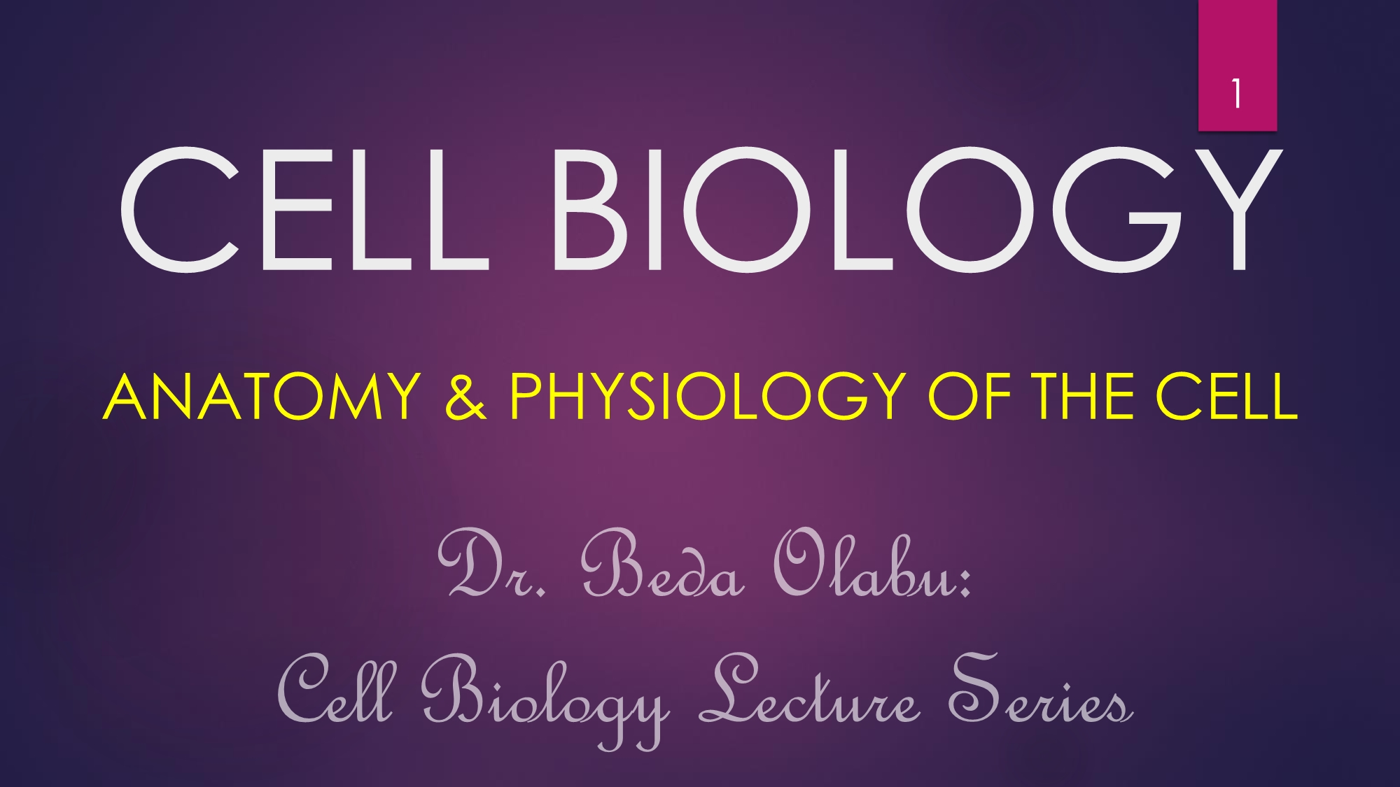 No preview available